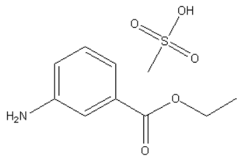 Tricaine methanesulfonate